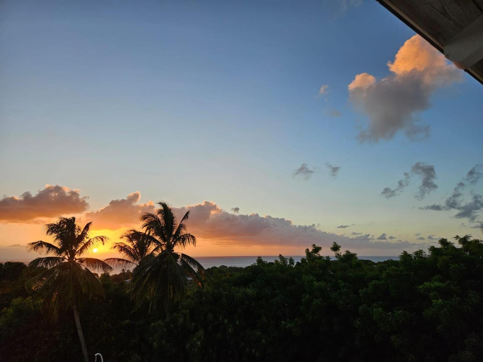 Purple Haze - Infinity Pool Holiday Home Minutes From The Island'S Best Beaches 圣詹姆斯 外观 照片